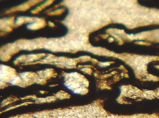 Oiv-Nickel-Reverse-Polish-Error?-New-Pics